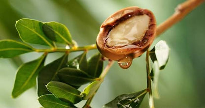 Organic Eye Cream