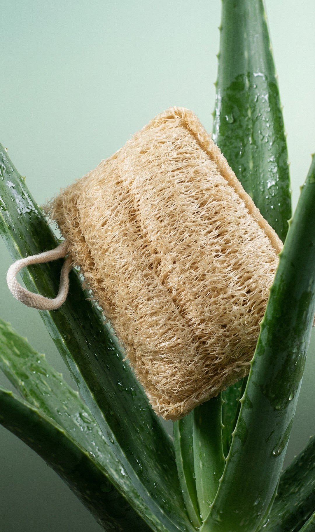 Exfoliating Loofah Sponge Natural and Organic - The Soap Lab Scotland