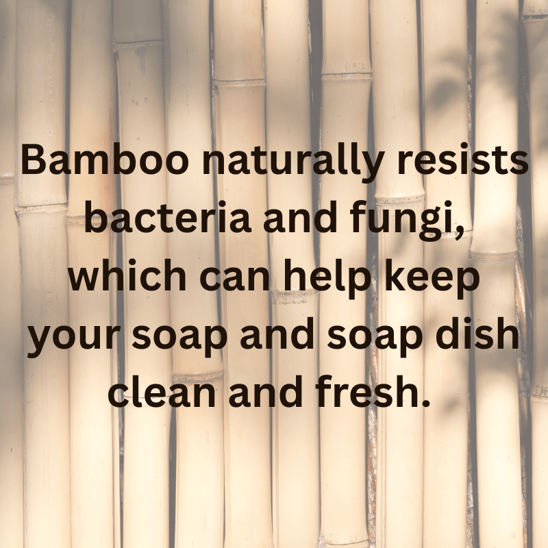 Natural Bamboo Soap Dish - The Soap Lab Scotland